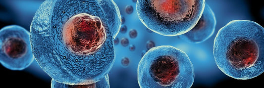 Vyčerpání kmenových buněk: Jak aktivovat vlastní regeneraci bez kliniky